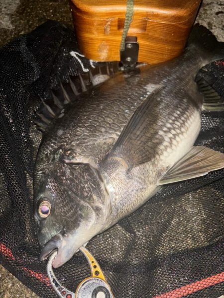 ヘチってきました