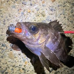 爆風ライトゲーム