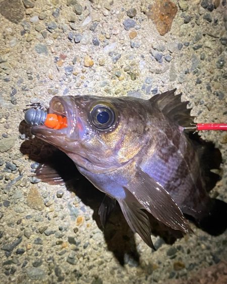 爆風ライトゲーム