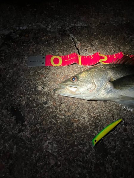 あと数cm及ばずも、連続の大物ゲッツ★