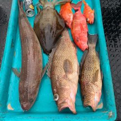 渋い中なんとかボウズのがれ