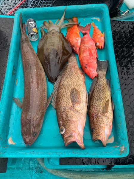 渋い中なんとかボウズのがれ