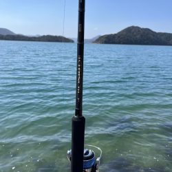 ショアジギング