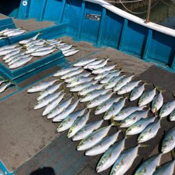 ハマチキャスティング