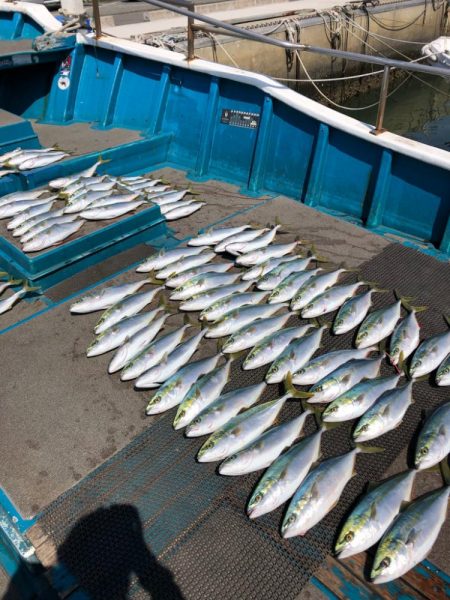 ハマチキャスティング