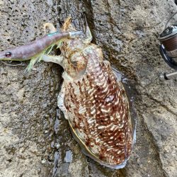 海の中も春に！