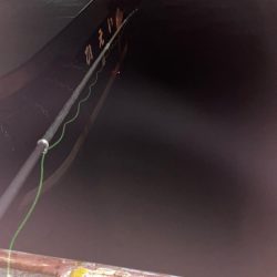 初エビまき釣り