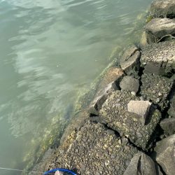 日中から暖かく