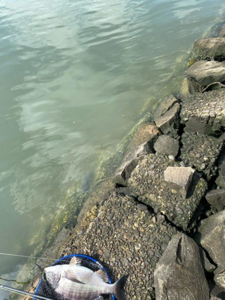 日中から暖かく