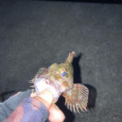 春の訪れの予感