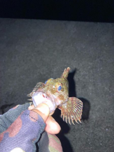 春の訪れの予感