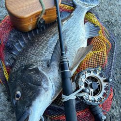 ヘチってきました