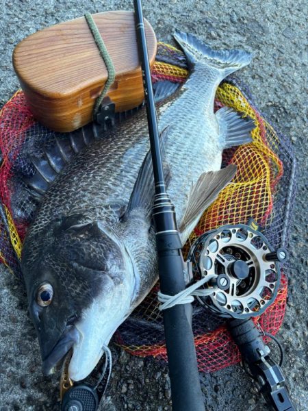 ヘチってきました