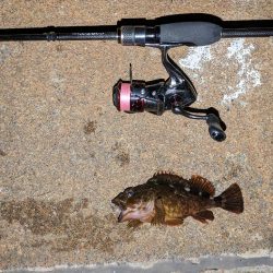 久しぶりにメバリング