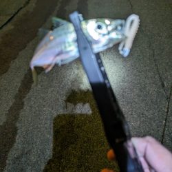 陸っぱり釣行記