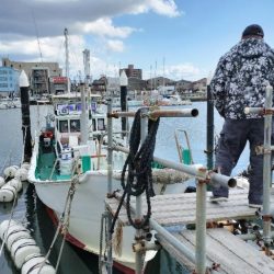 アジ、サバ釣り