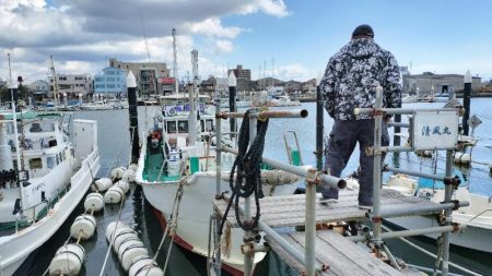アジ、サバ釣り