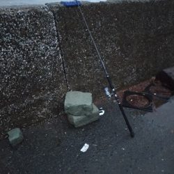 雨降る中ベイトが接岸