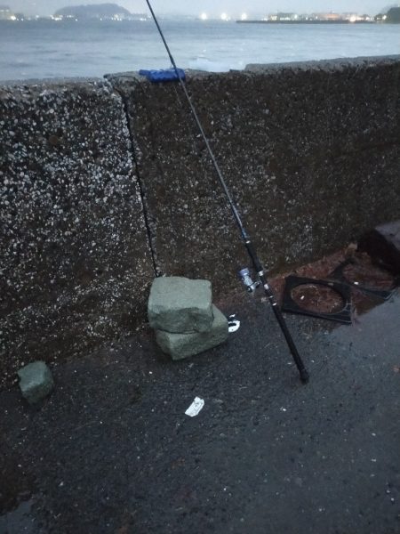 雨降る中ベイトが接岸