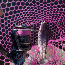 釣食浪漫 ～風は強いが活性高し！～