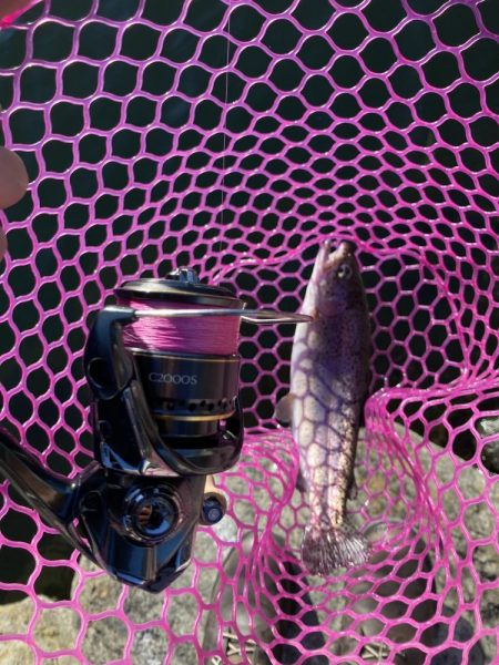 釣食浪漫 ～風は強いが活性高し！～