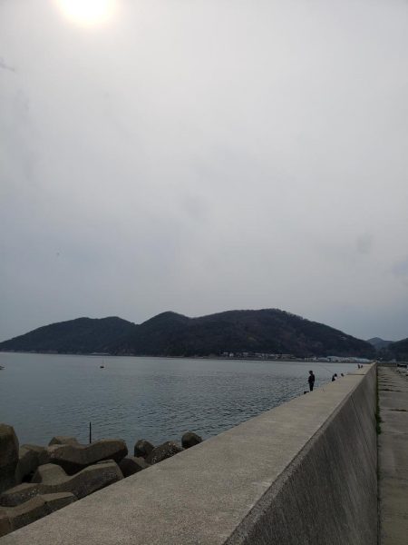 寒鰤ならぬ寒鰡‼️