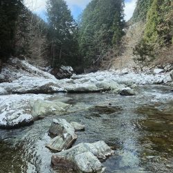 待ちに待った解禁！