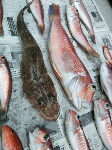 ライトアマダイ◎一俊丸