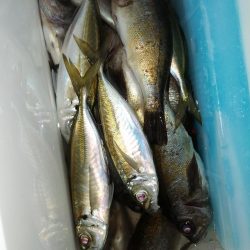 寒くても海は熱く