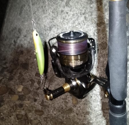 1ヶ月振りのシーバス釣行…