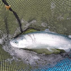 ご近所の釣り堀へ…