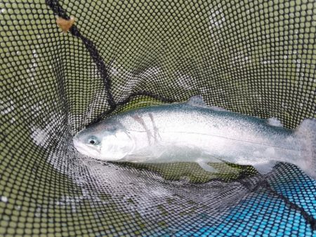 ご近所の釣り堀へ…