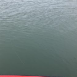 雨の北山田46cm 36cm