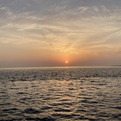 ファミリー初釣り