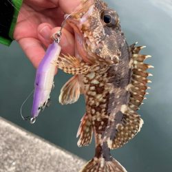 シロギス狙いのポイントチェック