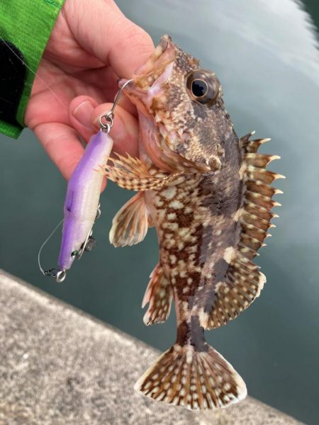 シロギス狙いのポイントチェック