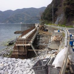 4時間粘って1匹しか釣れませんでした