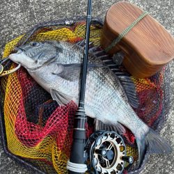 ヘチってきました