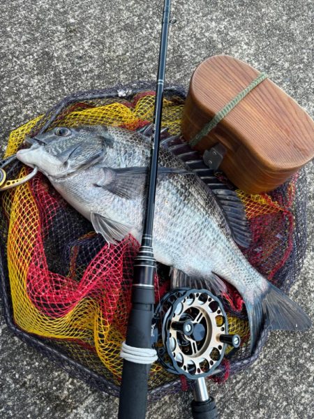 ヘチってきました