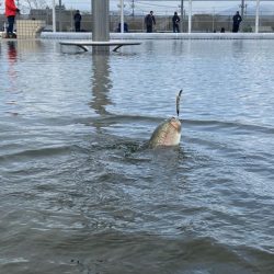 3月なのに今期1番寒い日釣行