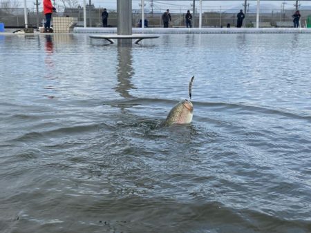 3月なのに今期1番寒い日釣行