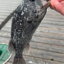 Wつ抜けならず!