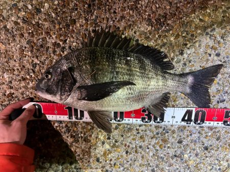 風が強い中の釣行