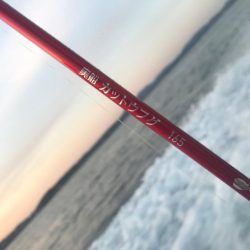 室津カットウフグ