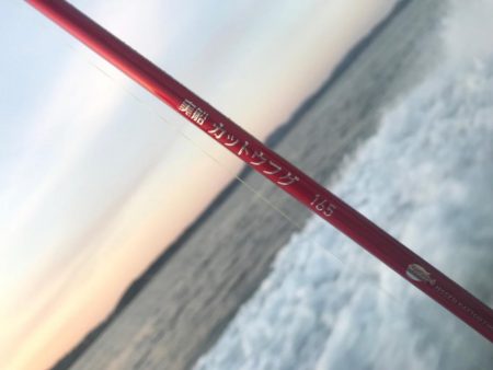 室津カットウフグ