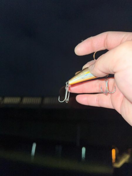 クロダイ　ルアーフィッシング