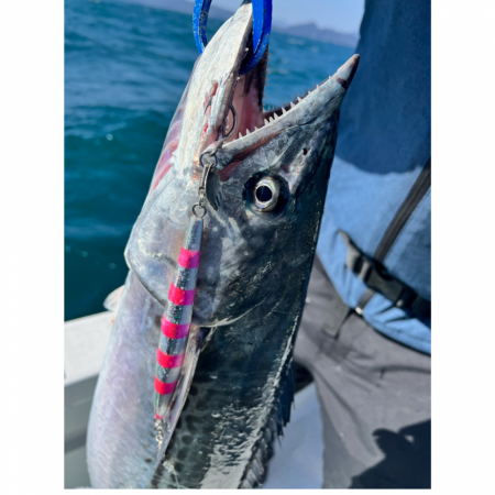 サワラ/ブレードジギング