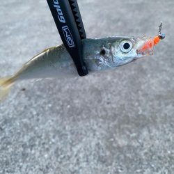 ダートアジング