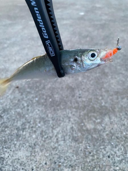 ダートアジング