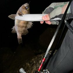 強風ライトゲーム